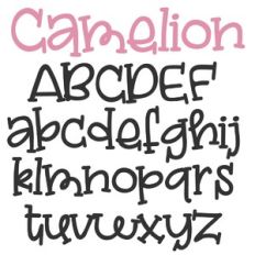 zp camelion