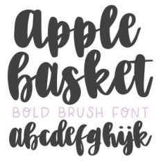 apple basket bold brush script