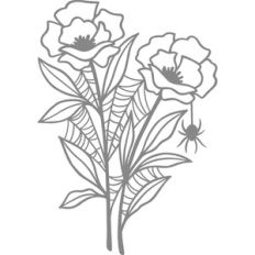 flower with spider webs