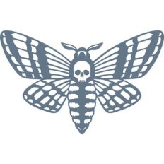 deaths head hawkmoth
