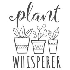 plant whisperer