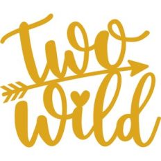 two wild cake topper