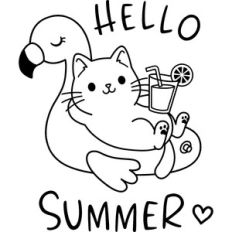 summer cat