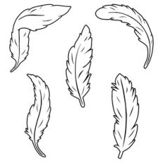 silhouette feathers
