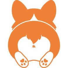 corgi