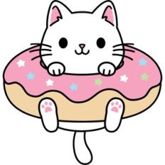 funny cat
