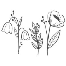 wildflower trio