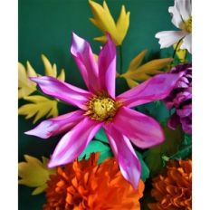 orchid dahlia