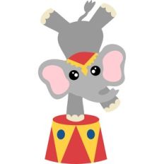 circus cute elephant
