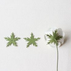 sepal leaf by farren celeste