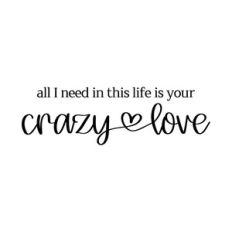 all I need in this life is your crazy love