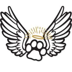 pet paw angel wings