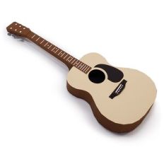 acoustic guitar