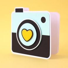 camera card
