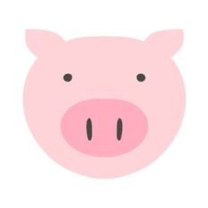 pig