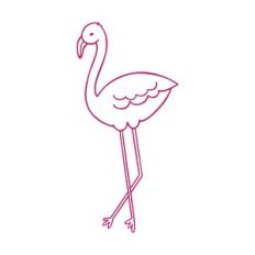 flamingos