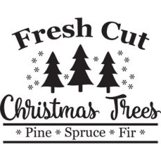 fresh cut christmas trees