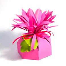 flower box