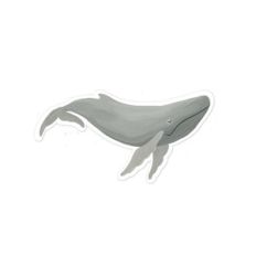 whale