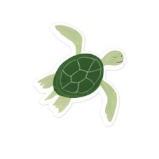 sea turtle