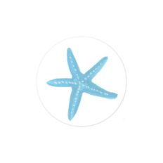 blue starfish