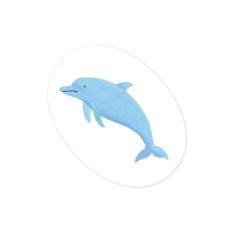 dolphin