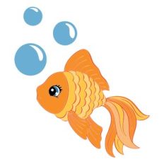 gold fish