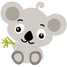 koala