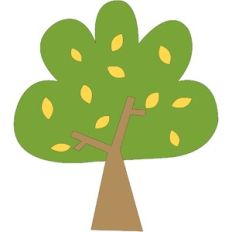 wide tree