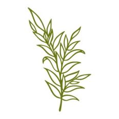 silhouette branch