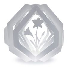 1 layered pop up box lily