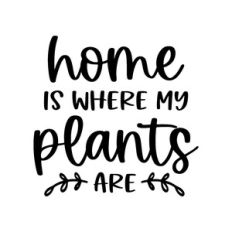 home is where my plants are