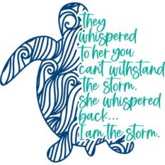 I am the storm