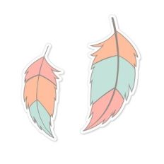 feathers