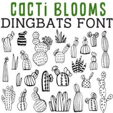 cg cacti blooms dingbats