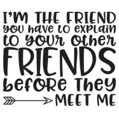 I'm the friend you have to your other friends... quote