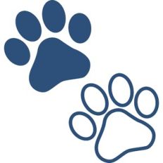 paw prints