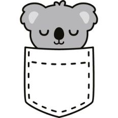 koala in the pocket