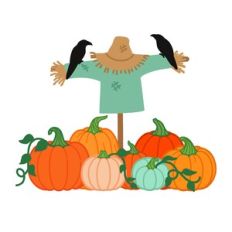pumpkin patch with scare crow