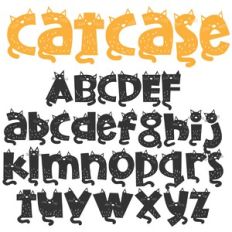 pn catcase too
