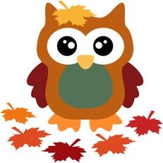 cute autumn owl