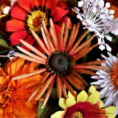 rudbeckia - chim chiminee