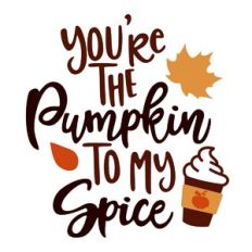 you're the pumpkin to my spice