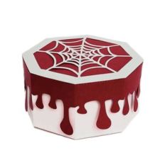 spider web box
