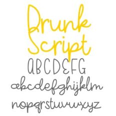 zp drunk script