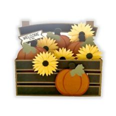 pumpkin patch box card