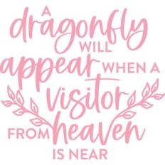 a dragonfly will appear when a visitor from heaven is near