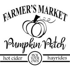farmer's market pumpkin patch