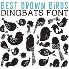 cg best drawn birds dingbats