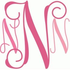 monogram script 'n'